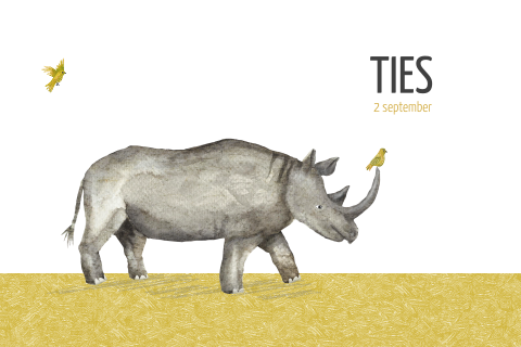 Geboortekaartje met neushoorn en vogeltjes