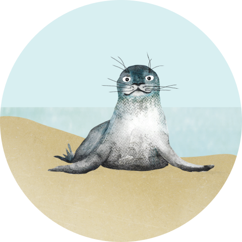 Sluitsticker met zeehondje