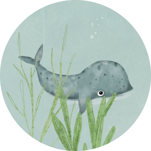 Sluitzegel met babywalvis