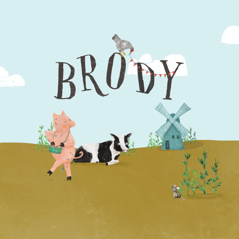 Geboortekaartje op de boerderij met varken, kip en molen