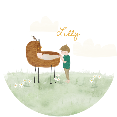 Rond geboortekaartje baby in rieten wiegje in het gras