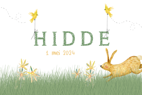 Lente kaartje met konijntje in het gras