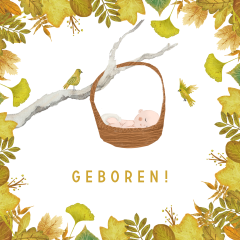 Wenskaart Geboren! met een baby in de boom