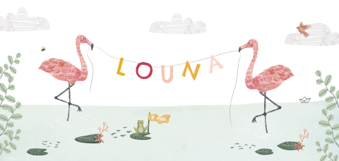 Geboortekaartje met flamingo's in het water met een naamslinger