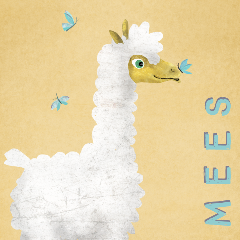 Schattig geboortekaartje met lama en vlindertjes