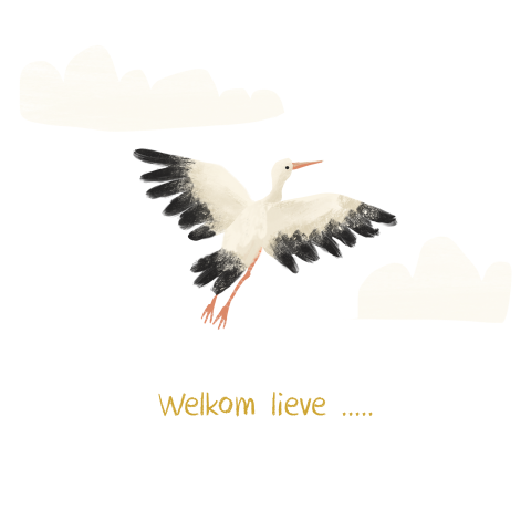 Wenskaartje Ooievaar Welkom lieve ...