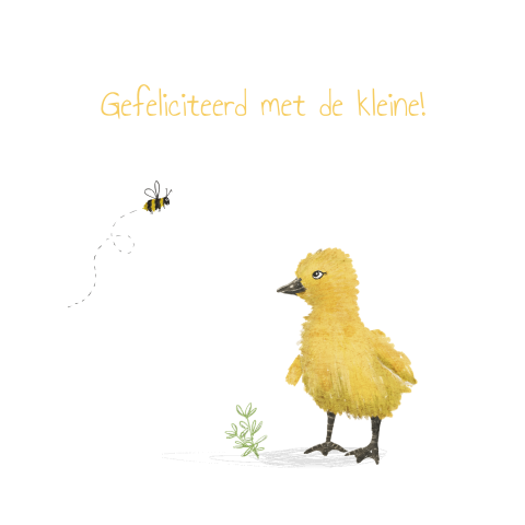 Wenskaart geboorte met kuiken