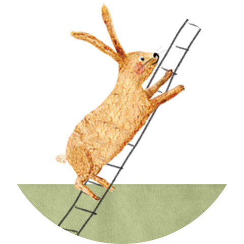 Sluitzegel  haasje ladder