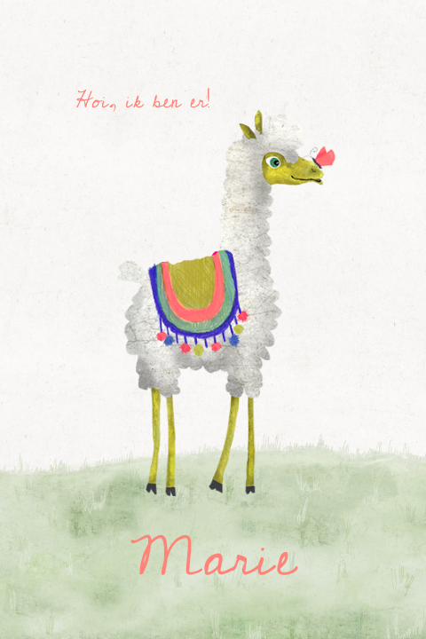 Grappig geboortekaartje met alpaca en vlindertje