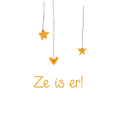 Sluitsticker met sterretjes en hartje