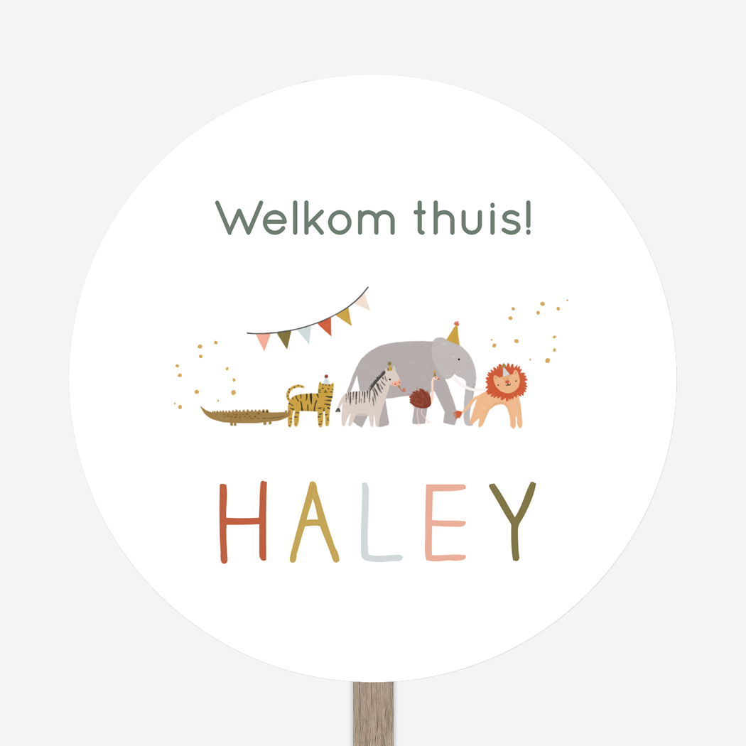 Welkomstbord Geboortebord Party Vlaggetjes Feest