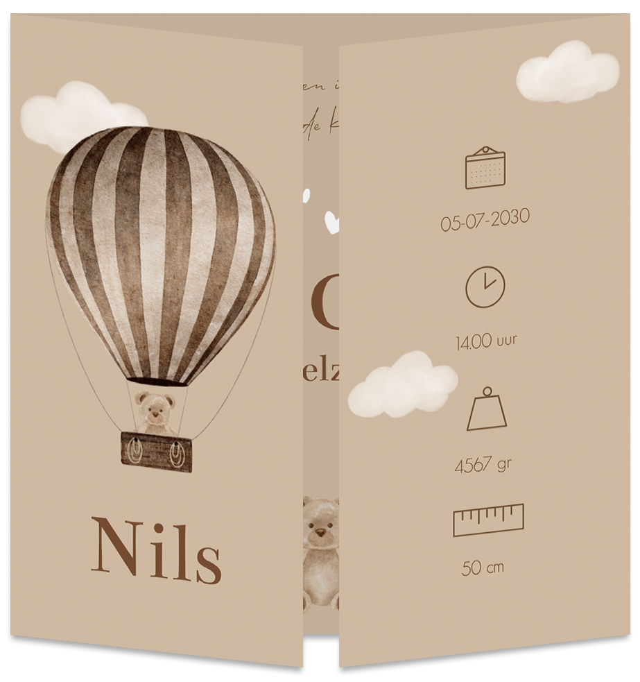 Geboortekaartje Jongen Luikkaart Luchtballon Beer