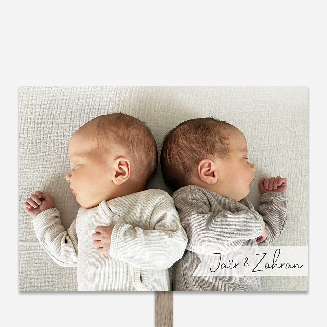 Tuinbord Geboortebord Tweeling Babyfoto Kindjes