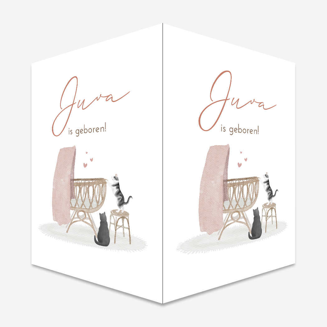 Raambord Kat Poes Wiegje Meisje