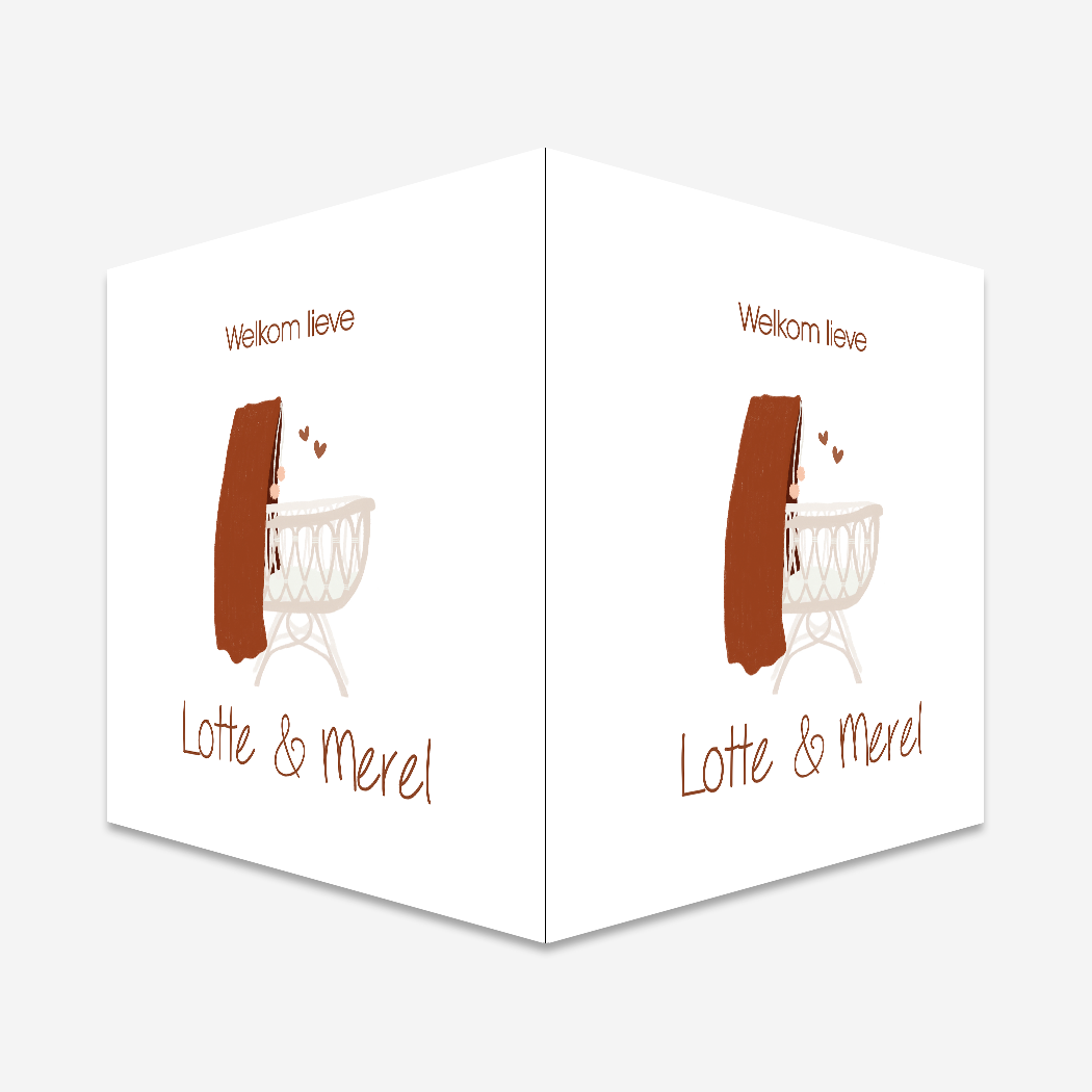 Raambord Geboortebord Tweeling Wiegje Waterverf