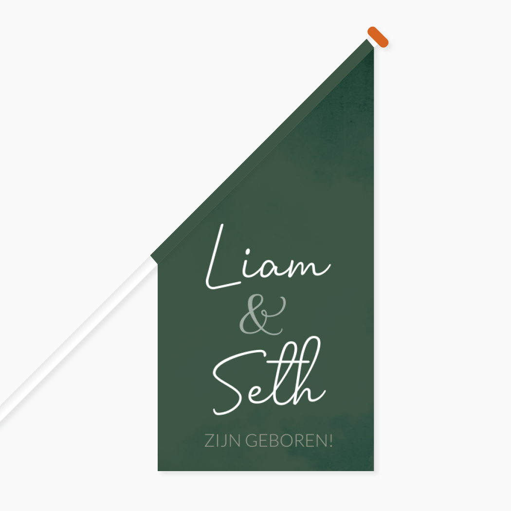 Vlag Geboorte Tweeling Groen Stoer