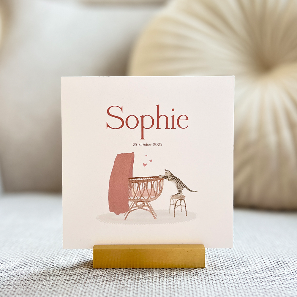 Geboortekaartje Meisje Wiegje Poesje Kat