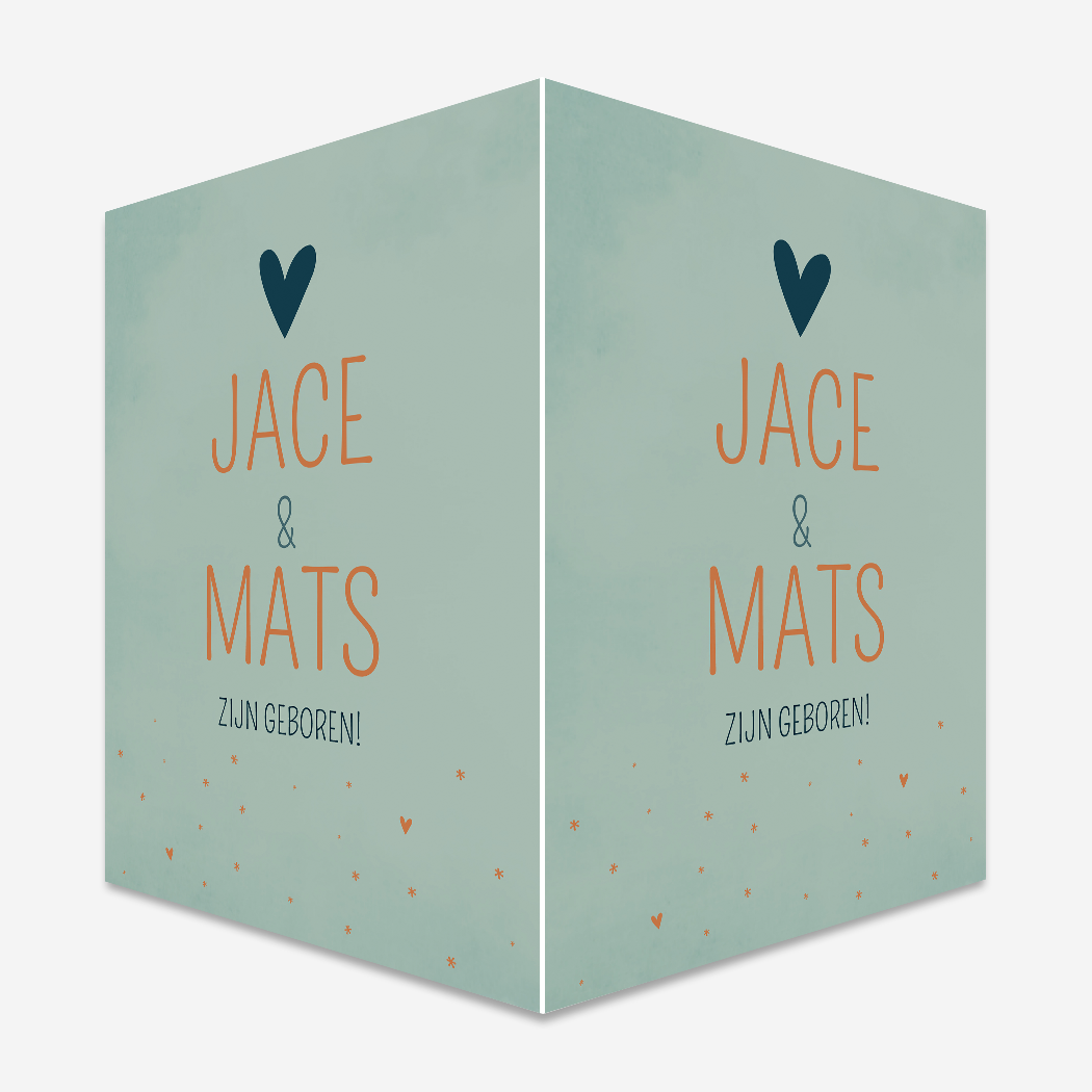 Raambord Geboortebord Groen Tweeling Hartjes