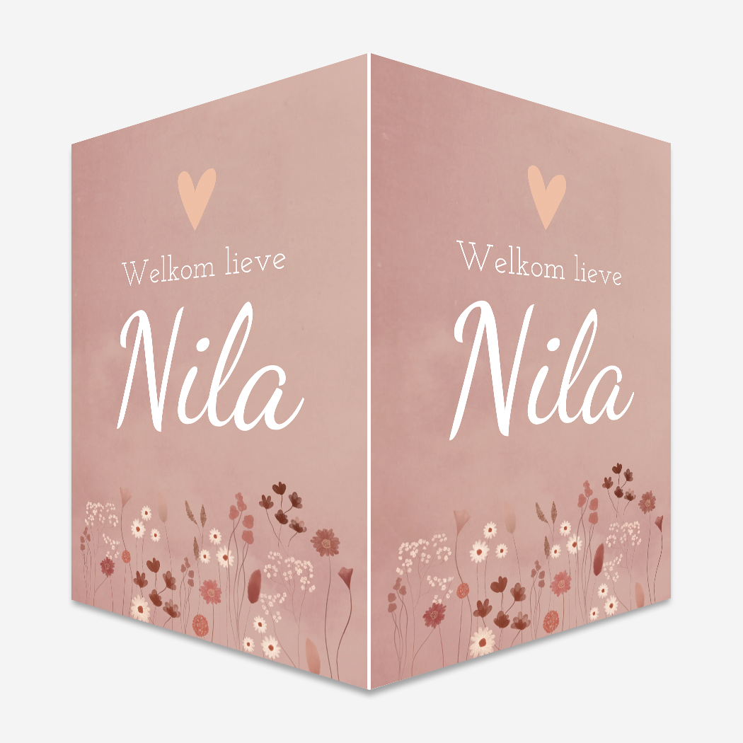Raambord Geboortebord Meisje Bloemen Roze