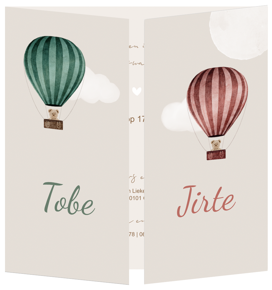 Geboortekaartje Tweeling Luikkaartje Luchtballon Teddybeer
