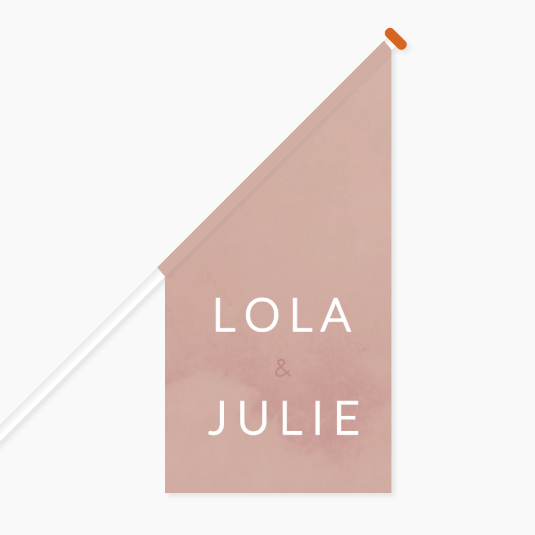 Vlag Geboorte Tweeling Roze Modern