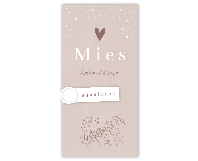 Geboortekaartje Meisje Oudroze Lijntekening Zusje