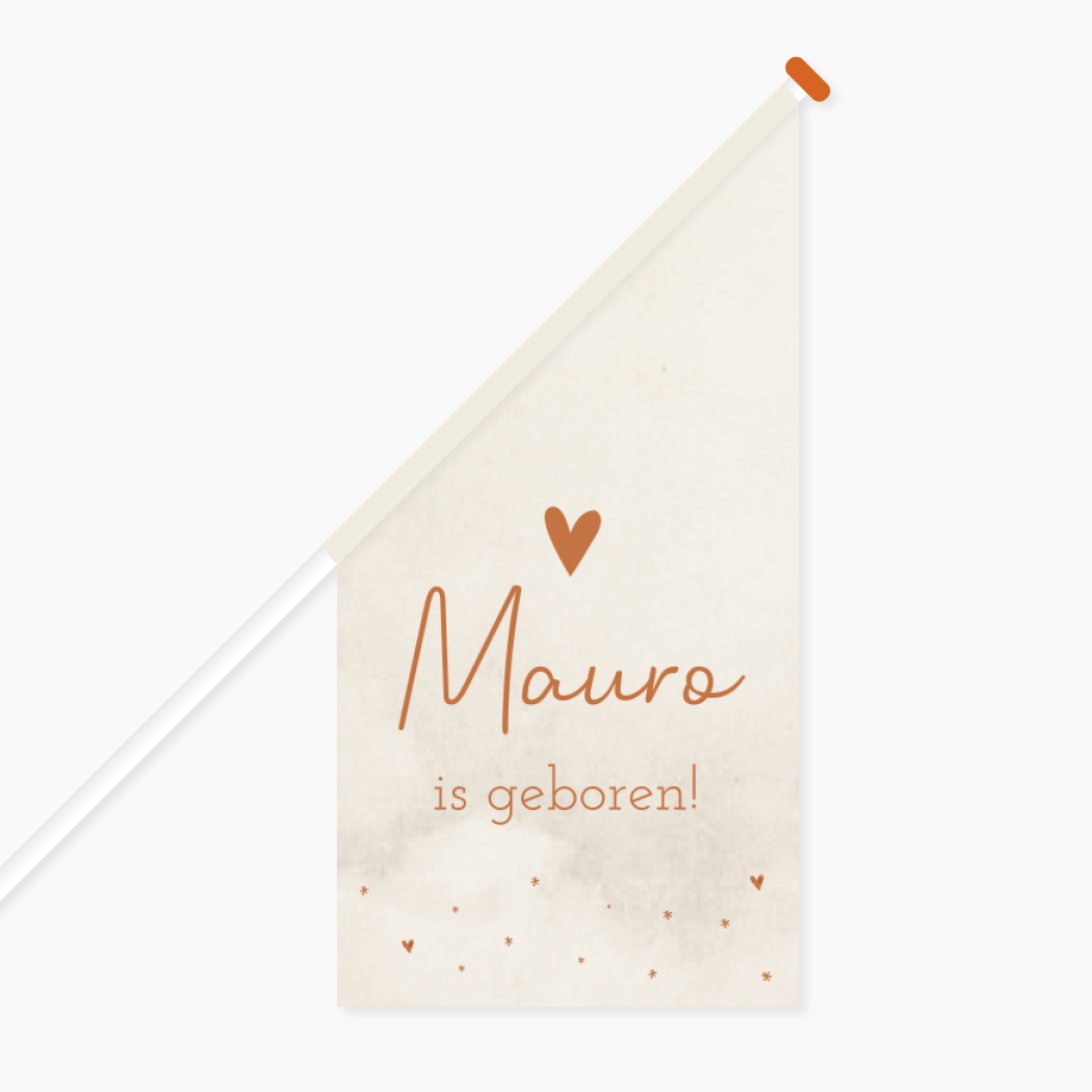 Vlag Geboorte Zoon Beige Sterretjes