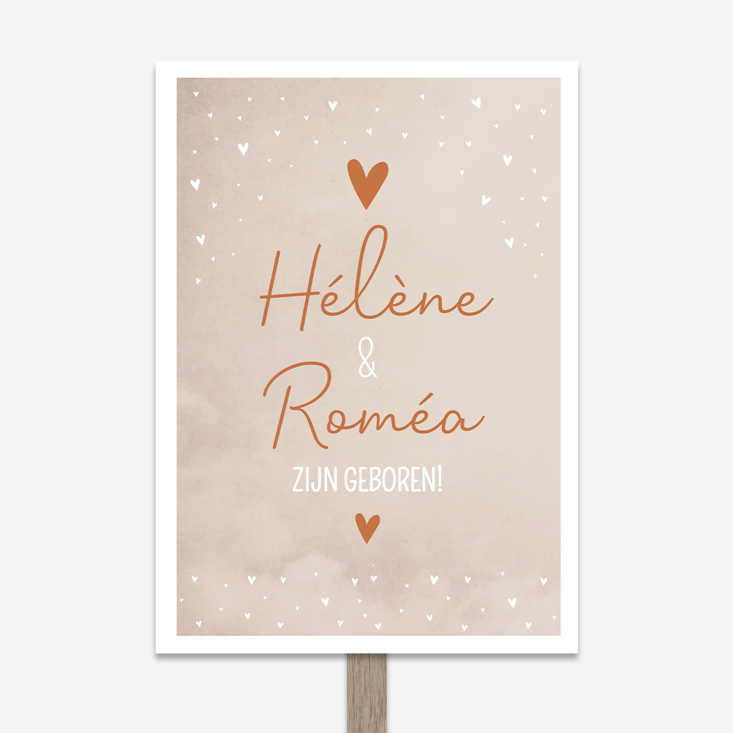 Tuinbord Geboorte Tweeling Roze Gewolkt