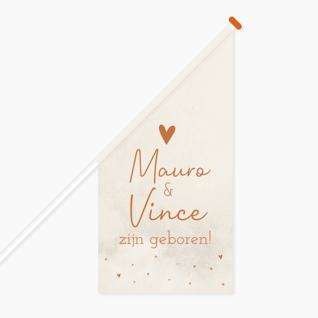Vlag Geboorte Tweeling Beige Sterretjes