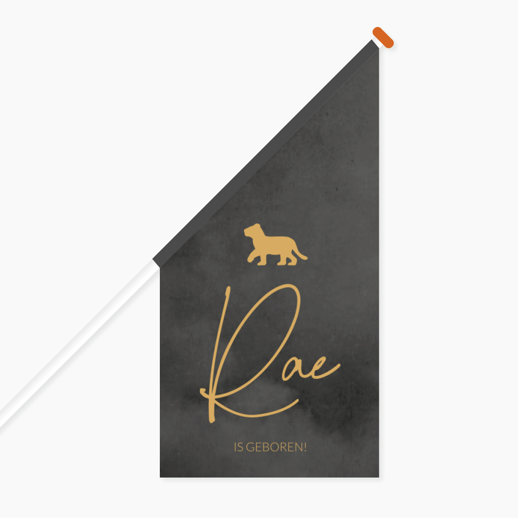 Vlag L Stoer Zwart Leeuw