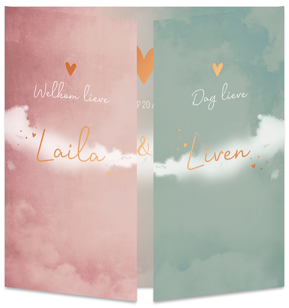 Rouwkaart Geboortekaartje Tweeling Luikkaartje Wolk