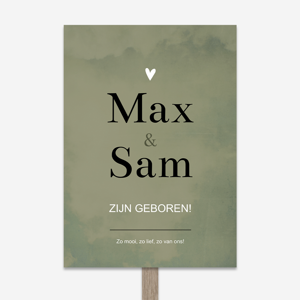 Tuinbord Geboorte Tweeling Groen Broertjes