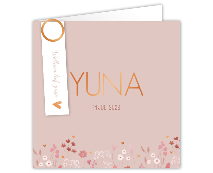 Geboortekaartje Droogbloemen Hartjes Roze Meisje