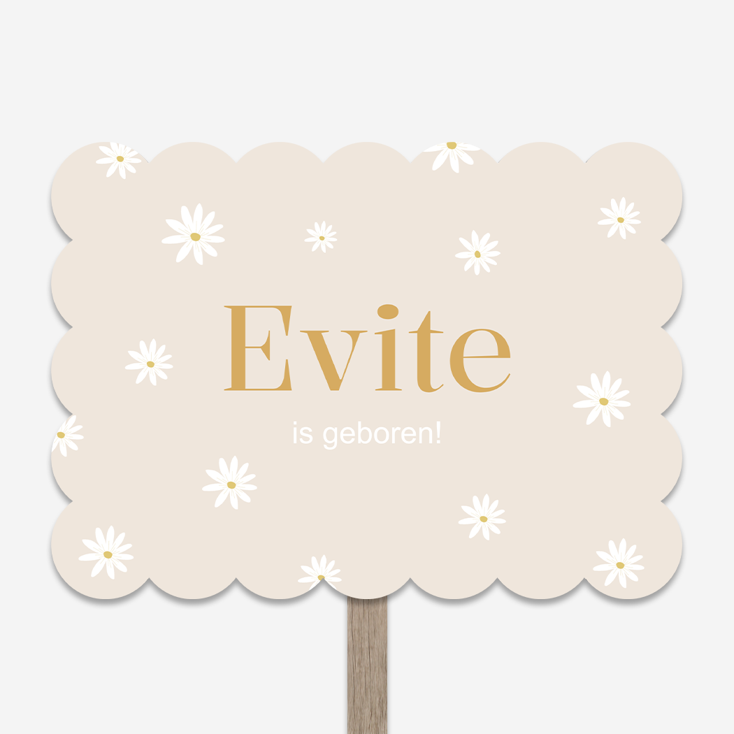 Tuinbord Cookie Madeliefjes Bloemetjes