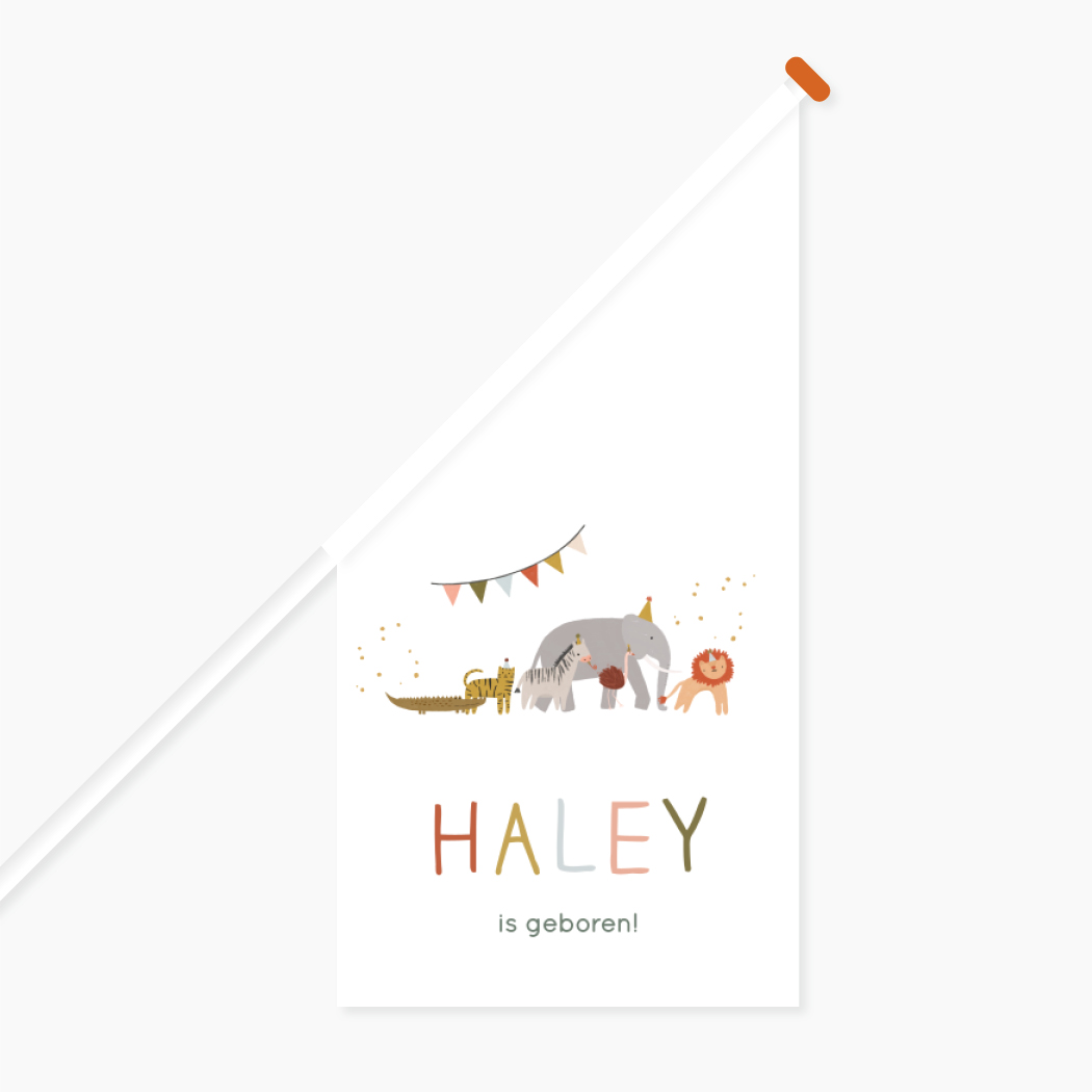 Geboortevlag L Feest Dieren