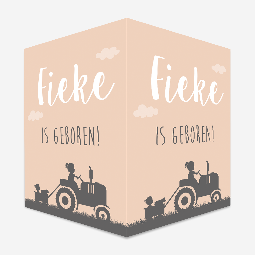 Raambord Trekker Meisje Biggetje Boerderij