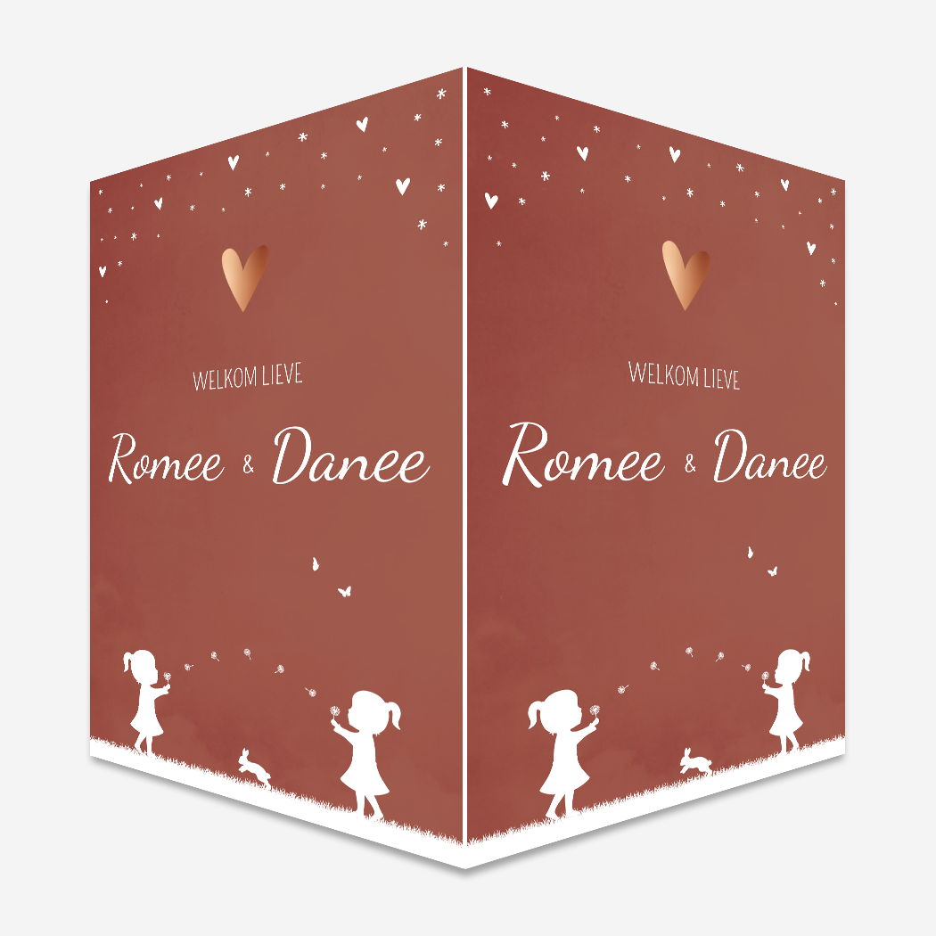 Raambord Tweeling Meisjes Paardenbloempluisjes