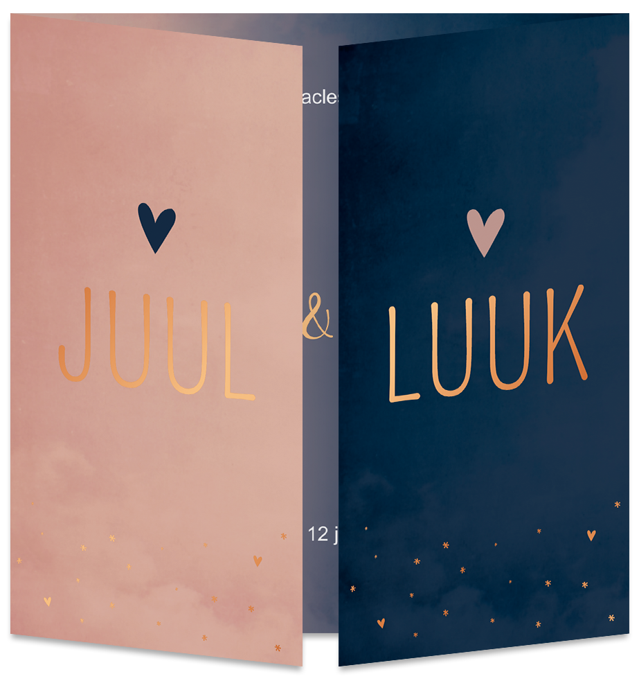 Geboortekaartje Tweeling Luikkaartje Oudroze Donkerblauw