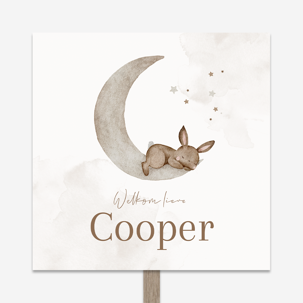 Geboortebord Dromerige Maantje Slapend Konijntje