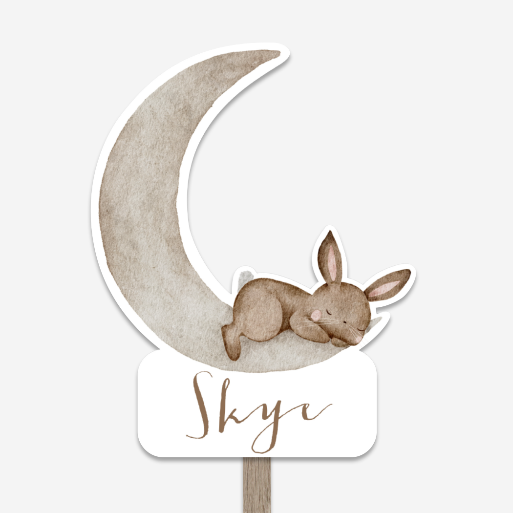 Geboortebord Meisje Maan Konijn Contour