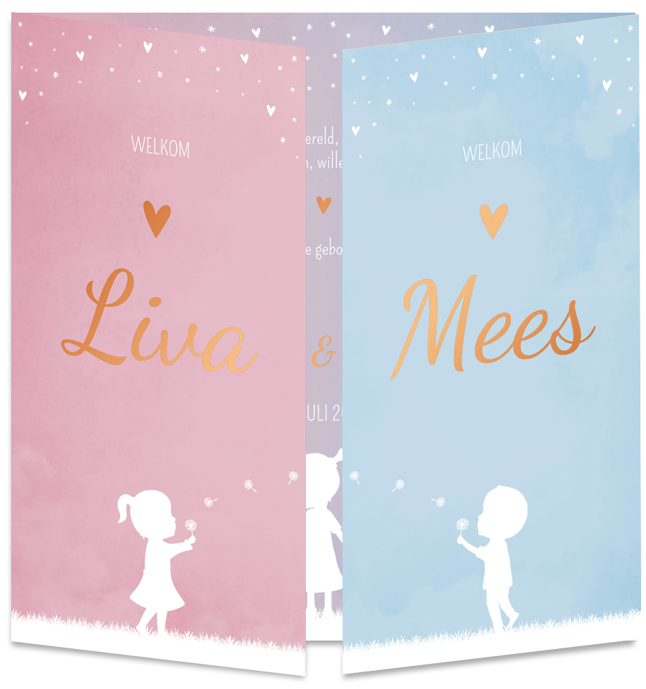 Geboortekaartje Tweeling Jongen meisje