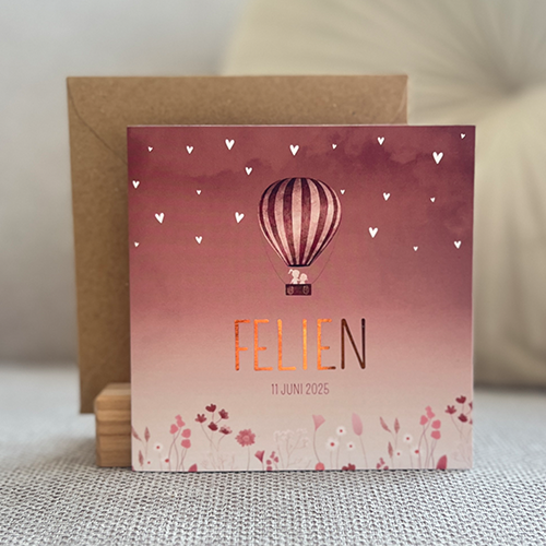 Geboortekaartje Meisje Droogbloemen Roze Luchtballon