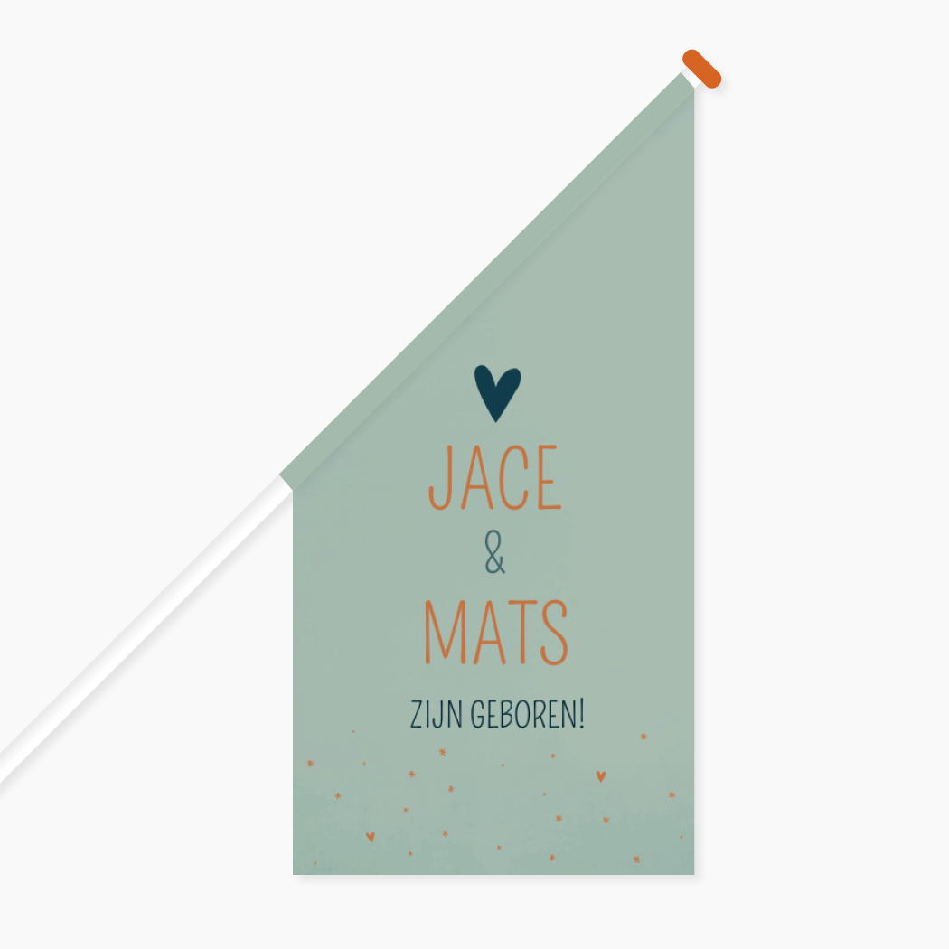 Vlag Geboorte Tweeling Groen Donkerblauw