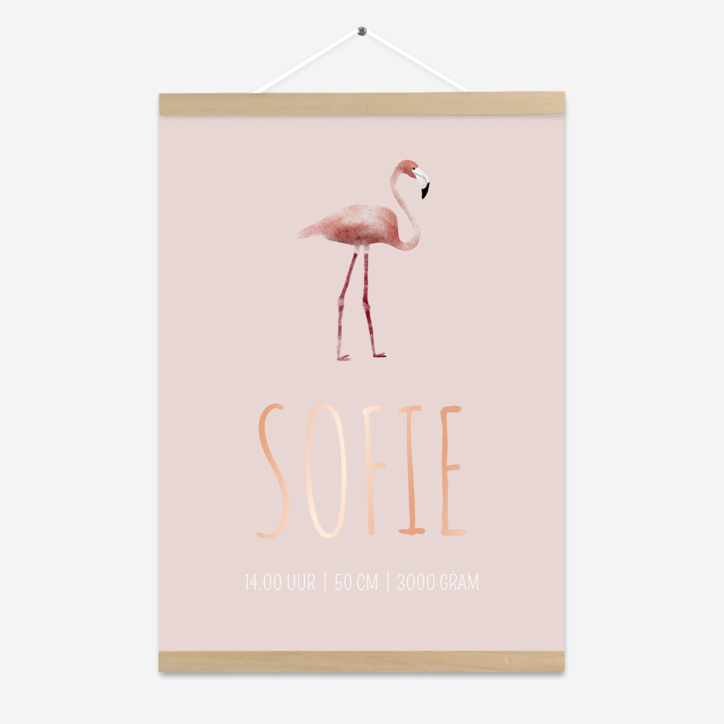 Poster Dieren Roze Flamingo Vogel