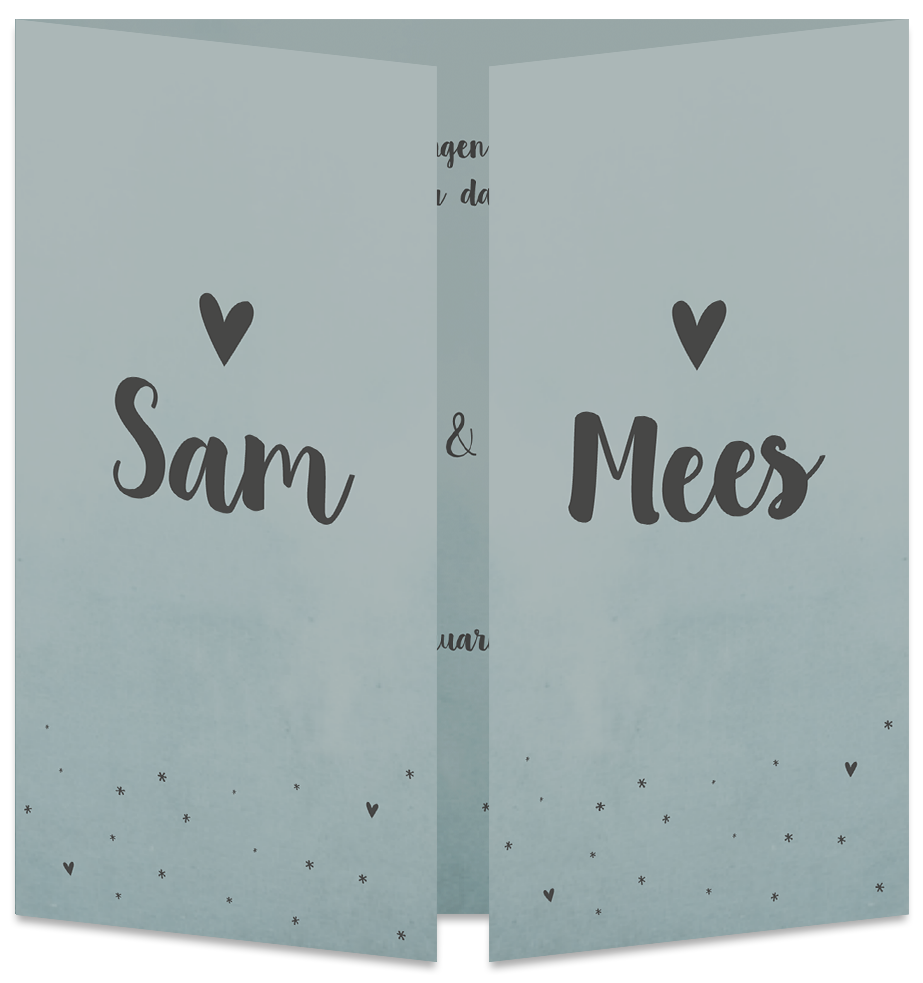 Geboortekaartje Tweeling Luikkaartje Blauw Lief