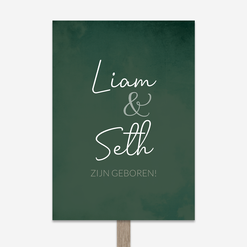 Tuinbord Geboorte Groen Tweeling Stoer