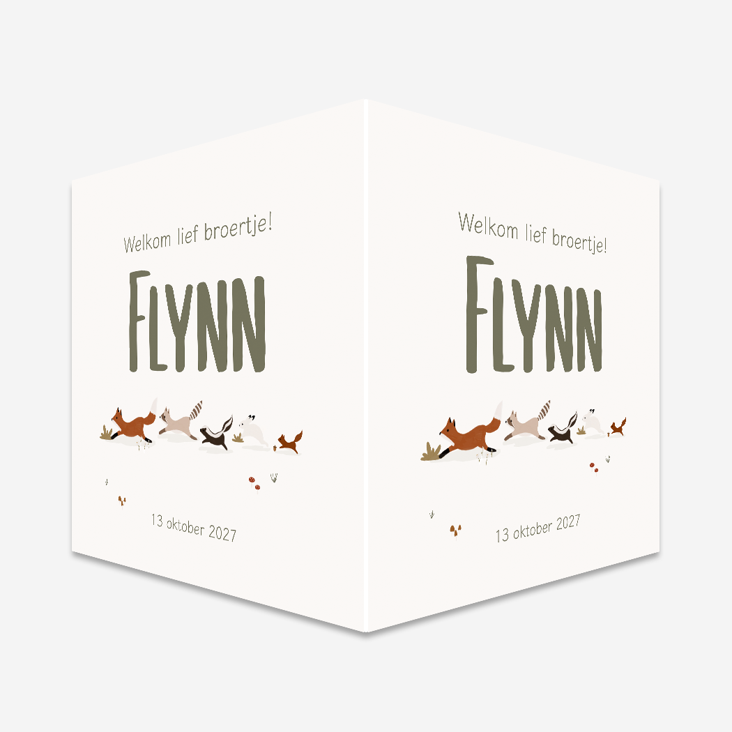 Raambord Vierkant Bosdieren Herfst Groen