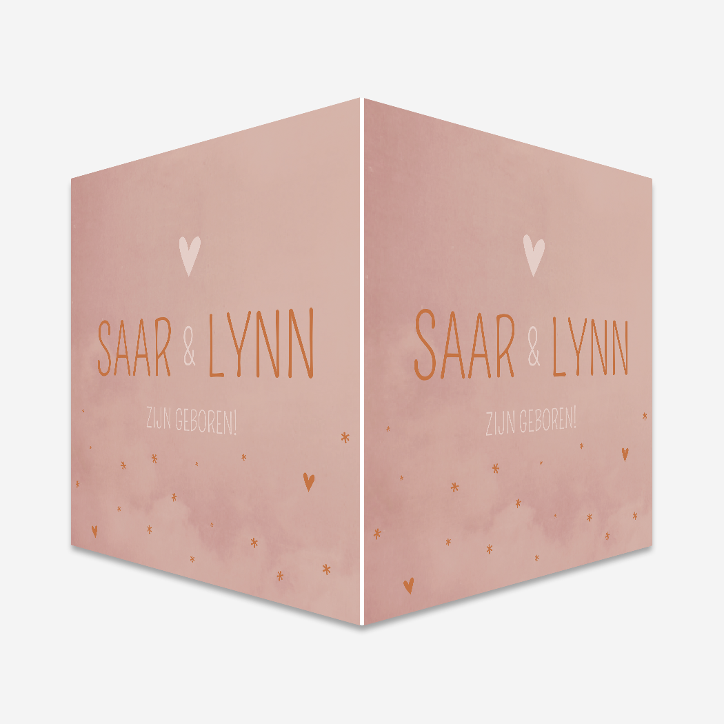 Raambord Geboorte Tweeling Roze Hartjes