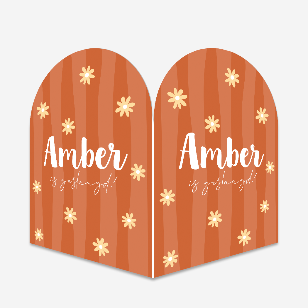 Geslaagd Diploma Raambord Boog 