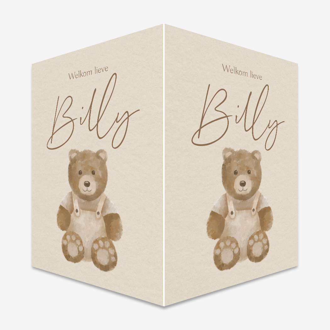 Raambord Teddybeer Waterverf Geboortebord